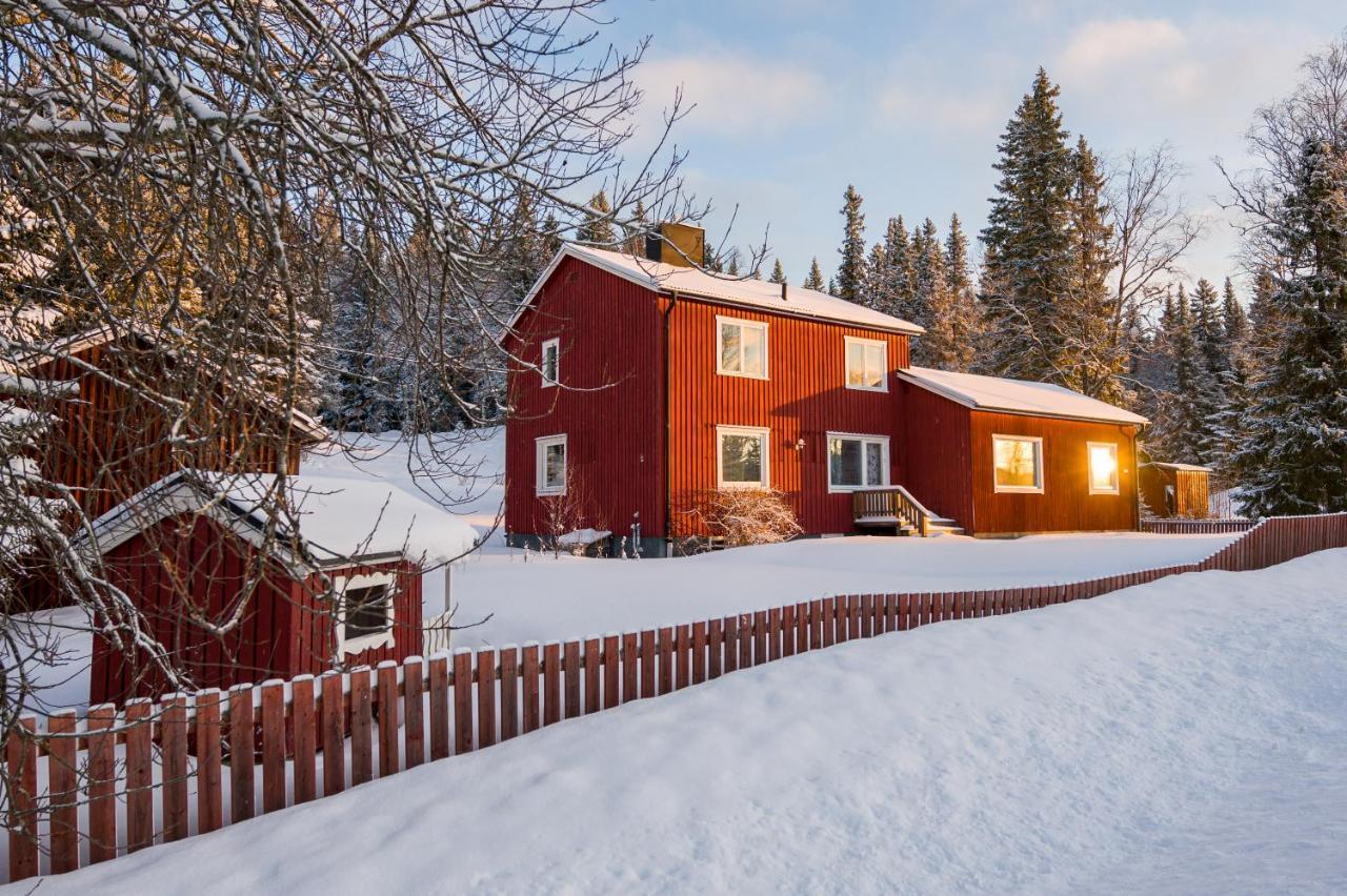 Villa The Bear'S Den Håkafot Exterior foto