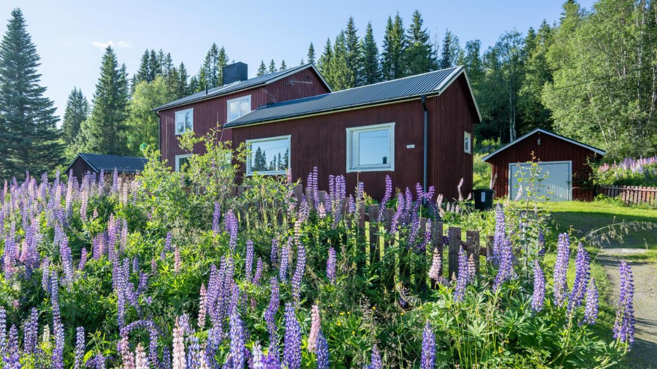 Villa The Bear'S Den Håkafot Exterior foto